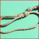 Flax Dog Lead