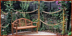 Arbour around the bench