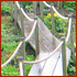 A boardwalk though a bog garden in Jersey